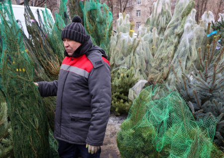 В России заявили о снижении импорта популярного новогоднего атрибута