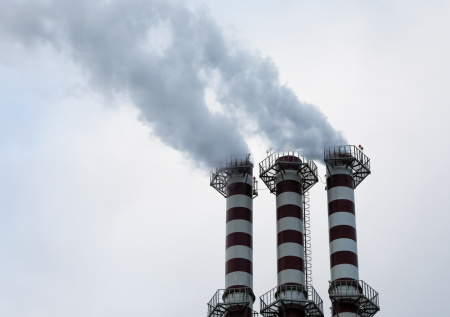 РЭО объявил победителей Зеленой премии