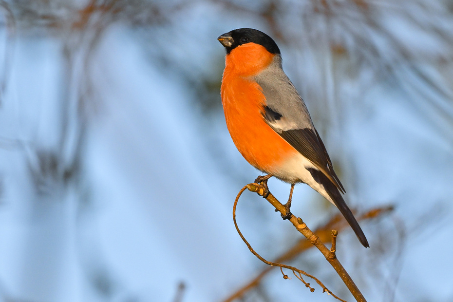Погодные приметы 3 декабря