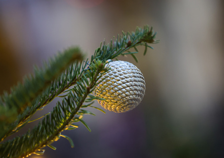 Власти Самары оправдались за то, что они «заперли» новогодние украшения