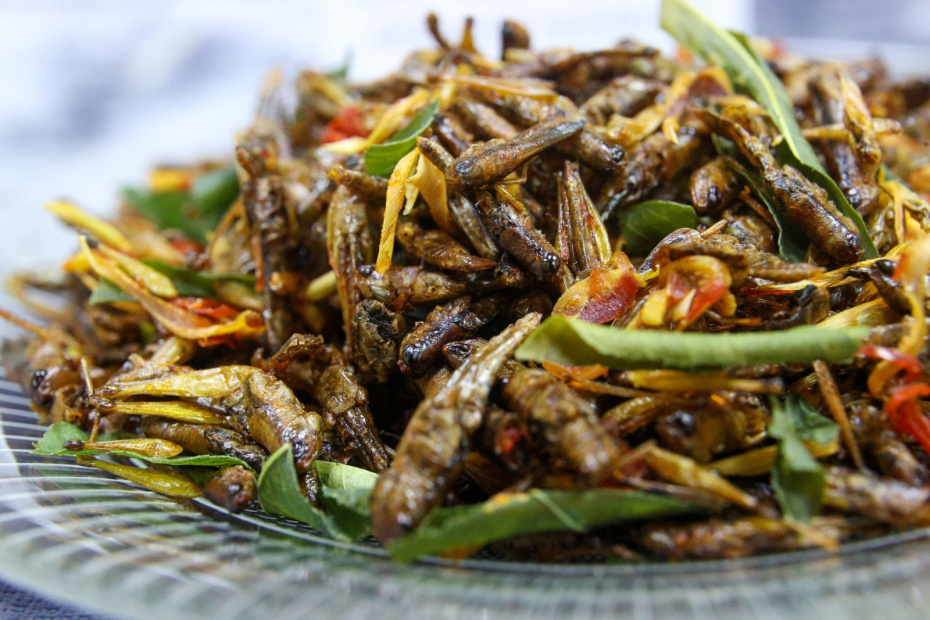 Блюда из насекомых