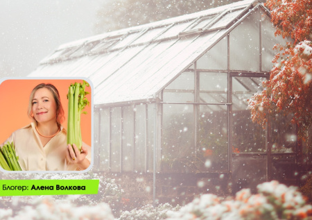 Как правильно хранить семена в домашних условиях? Личный опыт