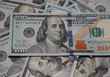 «Предпраздничная акция»: нелегалам в США предложили $1 тысячу