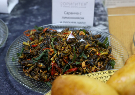 Эксперт рассказал, можно ли заменить традиционное мясо насекомыми