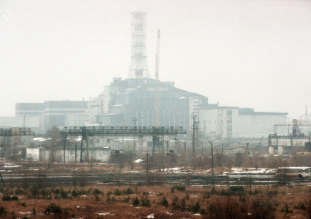 Ученые нашли в Чернобыле новую необычную форму жизни