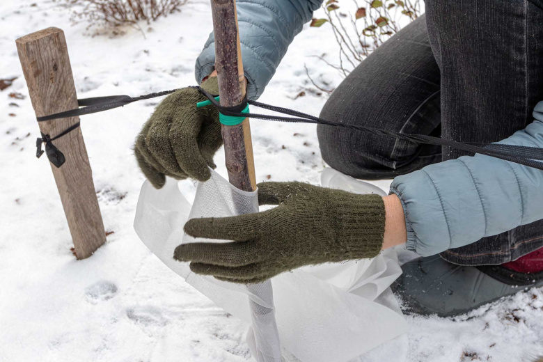 Работы в саду и огороде в декабре: список обязательных дел для дачника