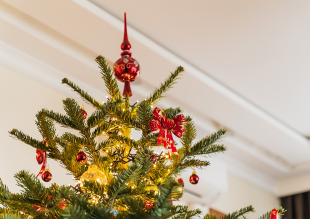 Терапевт ответила, какие елочные игрушки могут оказаться ядовитыми