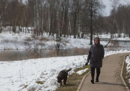 Ученый назвал явление, из-за которого может не быть снега
