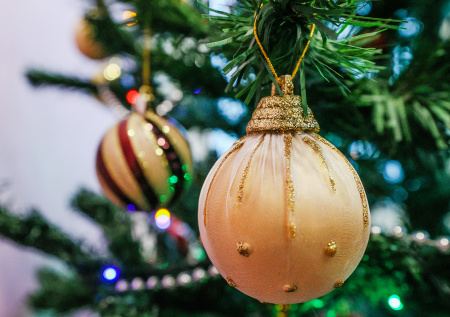 Аллерголог предупредила об опасностях праздничного декора