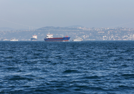 Депутат ответил, кто помог ВСУ атаковать российский танкер у берегов Турции