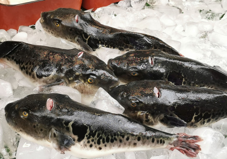 Россиянин едва не погиб после похода в магазин за рыбой