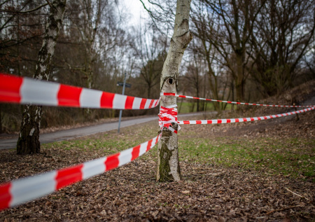 Женщину без головы и младенца обнаружили в лесу