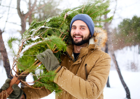 Россиянам рассказали, чем может обернуться вырубка живой елки на Новый год