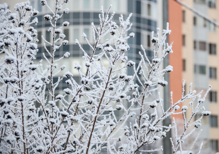 Приметы 3 декабря: Прокл — спасаемся от нечисти