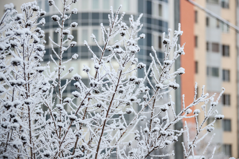 Приметы 3 декабря