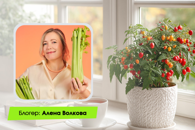 Алёна Волкова, кандидат биологических наук и автор популярного среди опытных огородников блога «Алёнин Сад» в «Одноклассниках»