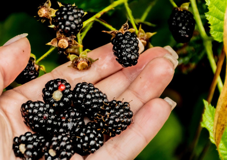 Раскрыто, где можно заработать 400 тысяч рублей