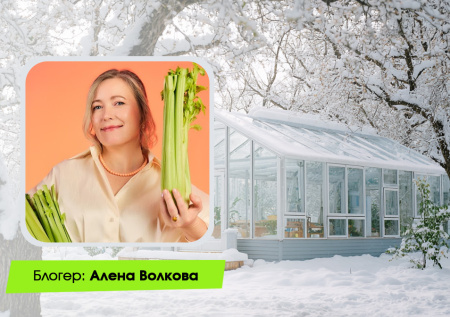 Подготовка теплицы к зиме: чек-лист важных дел под снегом