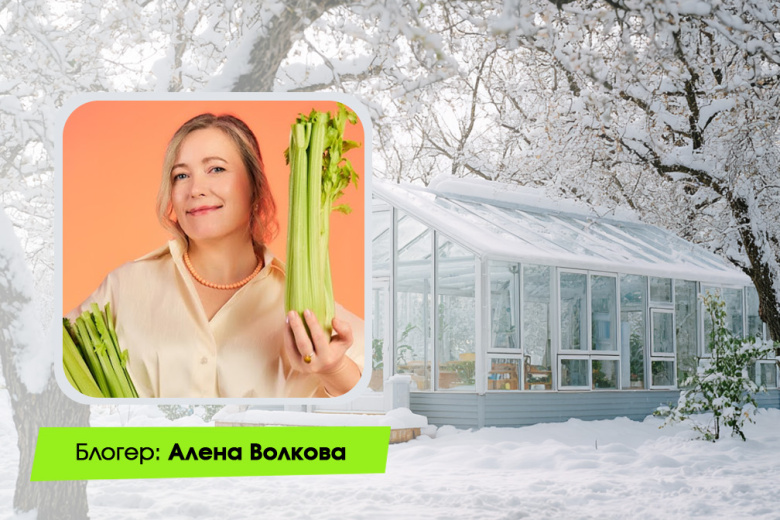 Алёна Волкова, кандидат биологических наук, автор блога «Алёнин Сад» в соцсети «Одноклассники»