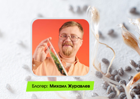 Правильное хранение семян: когда наука встречает практику