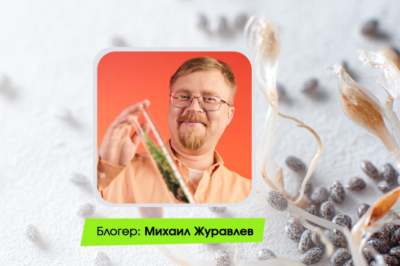 Михаил Журавлёв, ботаник, популяризатор науки и автор блога «Логово ботаники» на «Одноклассниках»
