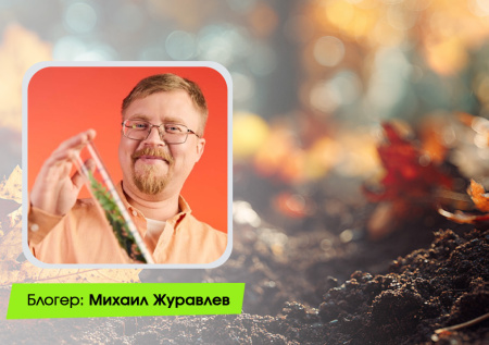 Подготовка почвы осенью по науке: посев сидератов, внесение удобрений