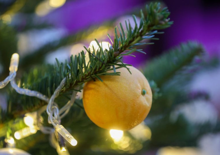 Россиянам рассказали, чем грозит елка в подъезде