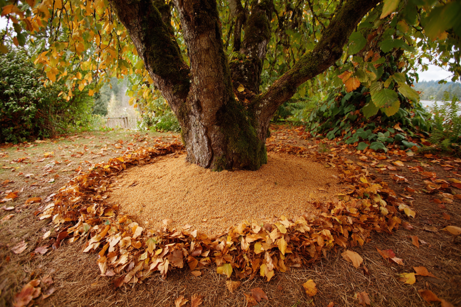 Узнайте, как правильно восстанавливать структуру грунта