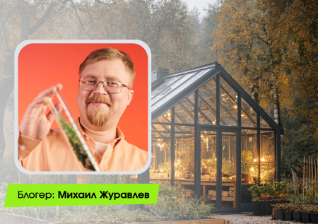 Осеннее восстание в теплице: как микробы спасают ваш урожай