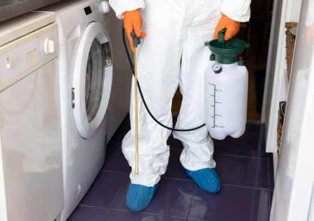 Раскрыты возможные последствия обработки московской квартиры от тараканов