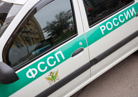 Приставы «выселили» 40 кошек, 30 собак и одну ворону из квартиры россиянки