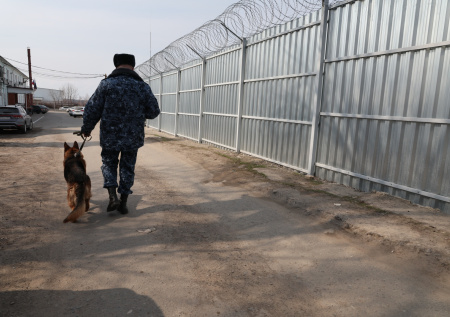 Мать и сын отправились в колонию за вербовку в «СССР»