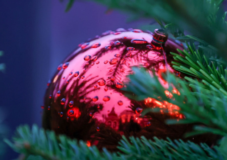 Раскрыта новая предновогодняя схема мошенников