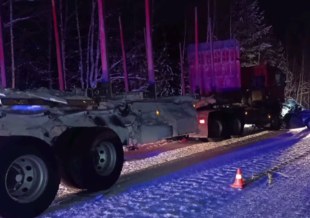Жуткое ДТП с лесовозом унесло жизни супругов-пенсионеров