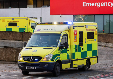 Акробат умер после неудачного выступления в зоопарке