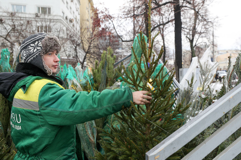 Продажа елок в Москве