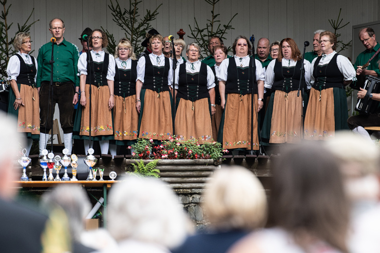 Выступление музыкального коллектива на фестивале йодля