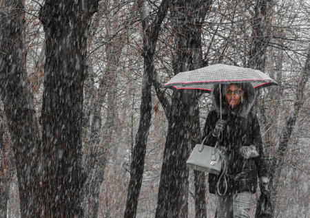 «Зимой не пахнет»: синоптик ответил, когда петербуржцам ждать снегопад