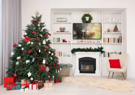 Россиянам рассказали, как продлить жизнь новогодней елки