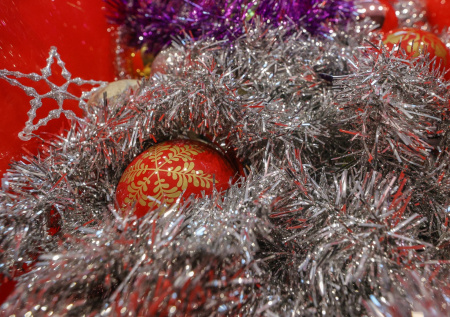 Ветеринар перечислил самые опасные новогодние украшения для питомцев