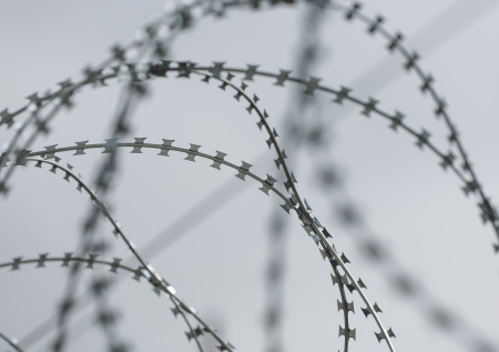 Рецидивист заманил пятилетнюю дочь знакомой в лес и жестоко надругался