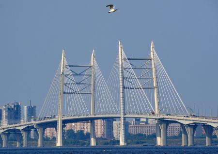 В российском регионе выделят до 20 млрд рублей на платные дороги