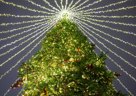 Нилов предложил навсегда сделать 31 декабря выходным днем