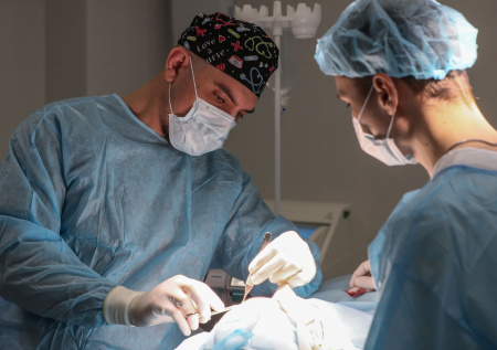 Раскрыто важнейшее правило, которому должны следовать пластические хирурги