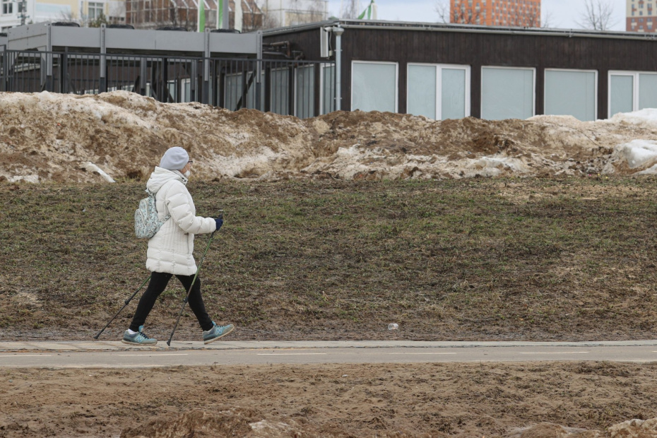 В чем польза ходьбы с палками для пожилых и молодых?