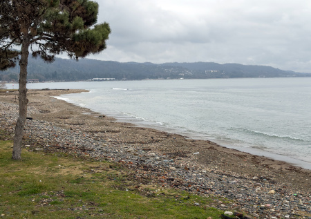 Грузинский контейнер с неожиданным «подарком» прибило к берегам Дагестана