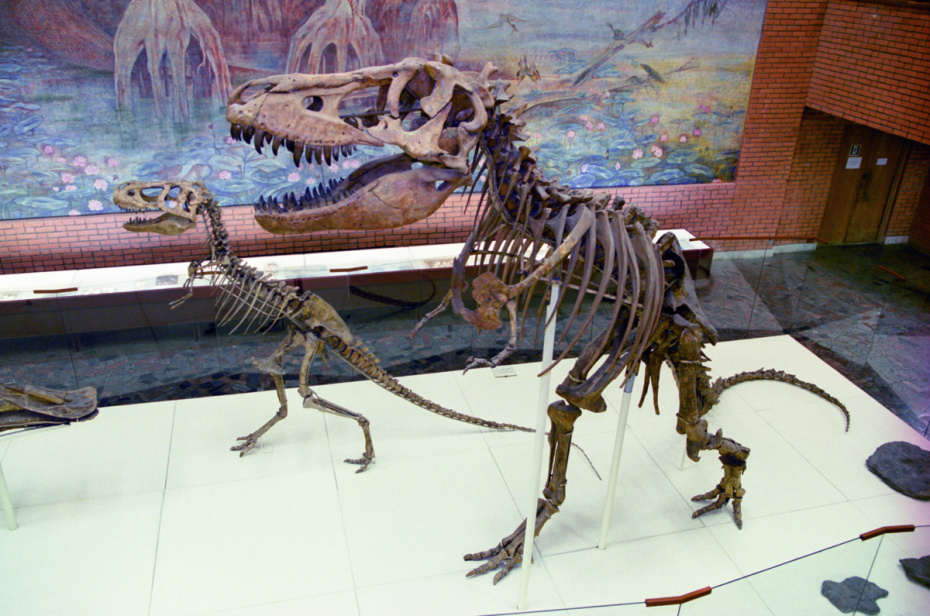 Палеонтологический музей им. Ю. А. Орлова