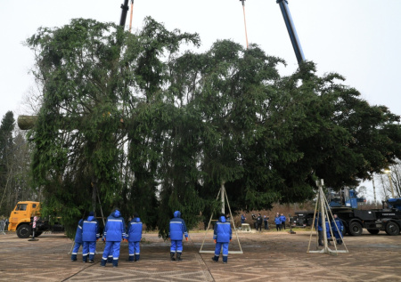 Главной новогодней елке страны выделили охрану