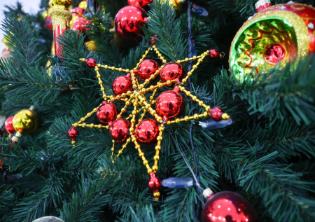 Россиянам рассказали об опасности искусственных елок