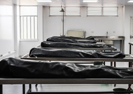 Призванные против своей воли в ряды ВСУ два брата погибли в зоне СВО